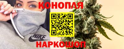 тгк Новокубанск