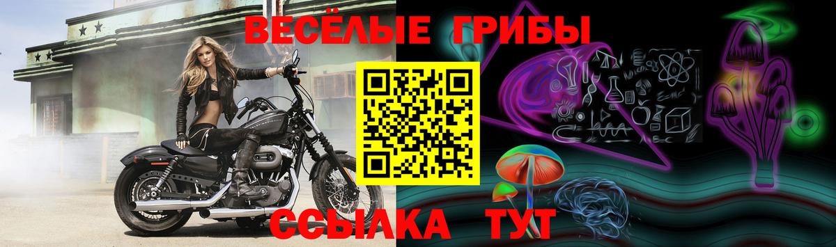 Псилоцибиновые грибы мицелий Севастополь